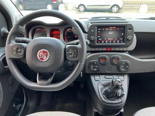 FIAT Panda Cross usata, con Cerchi in lega