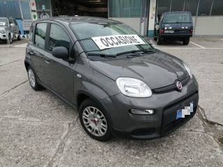FIAT Panda usata, con Airbag Passeggero