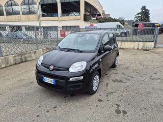 FIAT Pandina 1.0 FireFly 65 CV Hybrid Icon