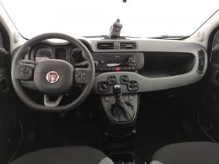 FIAT Panda usata, con Airbag Passeggero