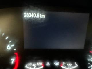 FORD Focus usata, con Vetri oscurati