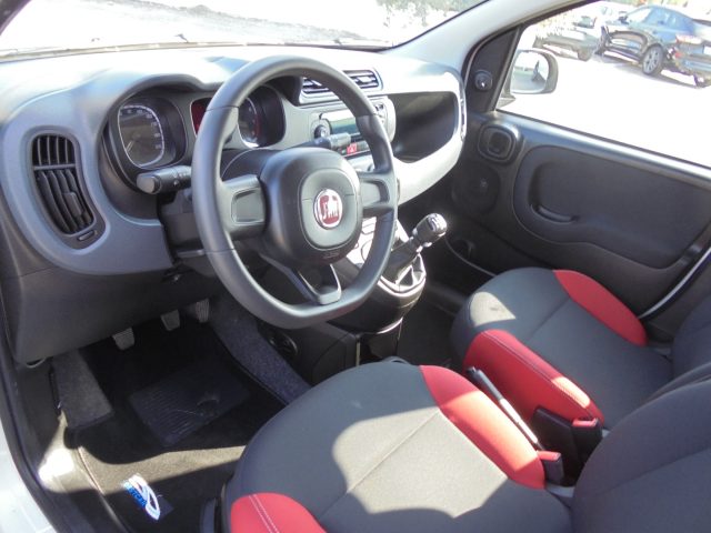FIAT Panda usata 17