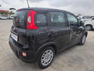 FIAT Panda usata, con Antifurto