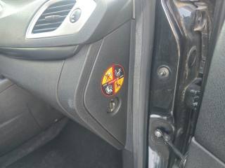 RENAULT Scenic usata 103