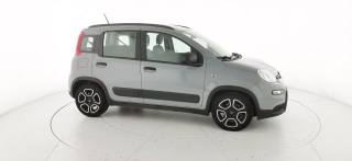 FIAT Panda usata 21