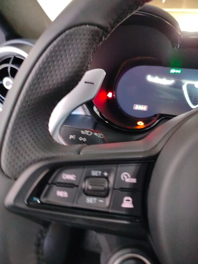 ALFA ROMEO Tonale usata 44