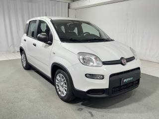 FIAT Panda usata, con Climatizzatore