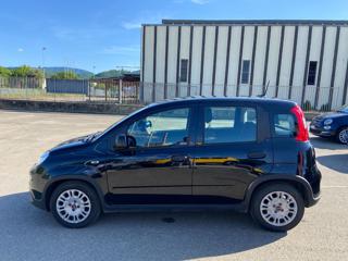 FIAT Panda usata 21