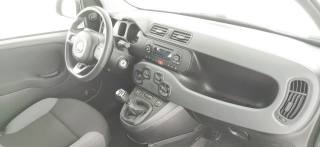 FIAT Panda usata 44