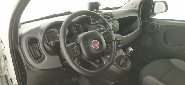 FIAT Panda usata 42
