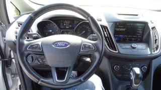 FORD C-Max usata, con Fendinebbia