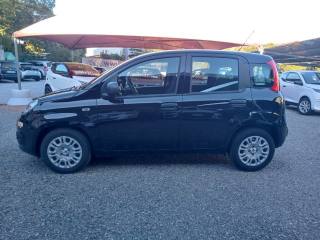 FIAT Panda usata, con Alzacristalli elettrici