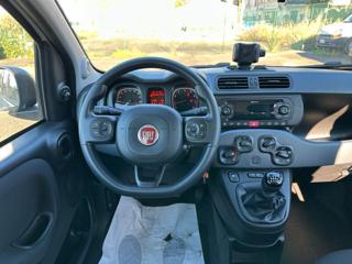 FIAT Panda usata 52