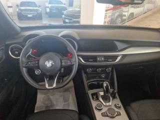 ALFA ROMEO Stelvio usata, con Fendinebbia