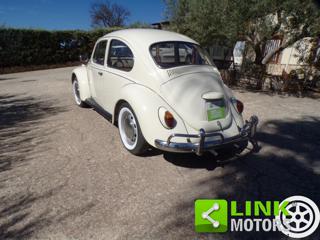 VOLKSWAGEN Maggiolino usata 5