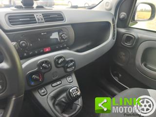 FIAT Panda usata 12