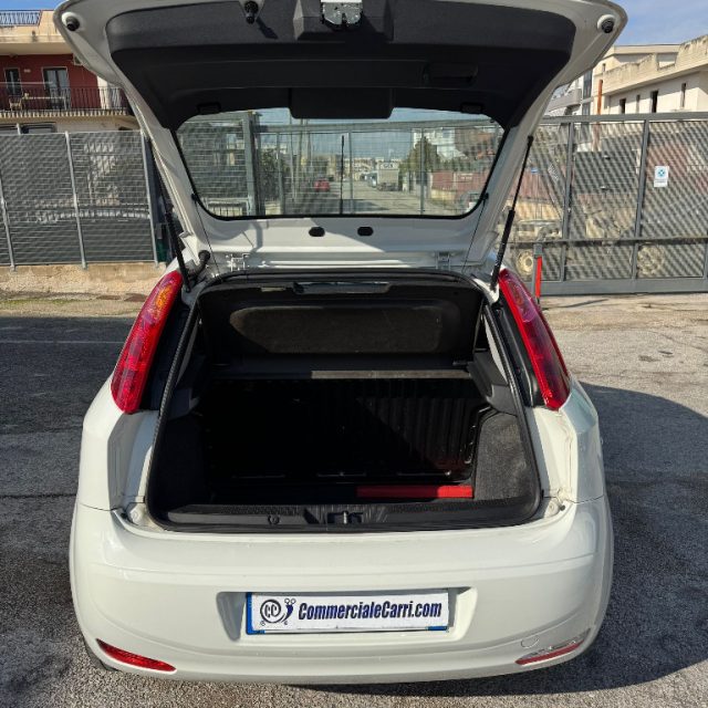 FIAT Punto usata 14