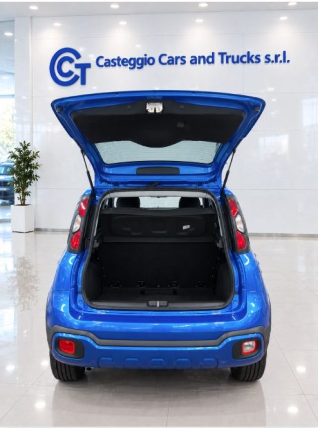 FIAT Panda Cross usata, con Antifurto