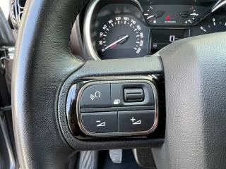 CITROEN C3 Aircross usata 17