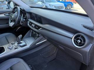 ALFA ROMEO Stelvio usata, con Bracciolo