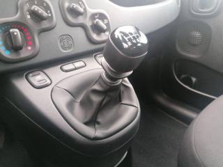 FIAT Panda usata 16