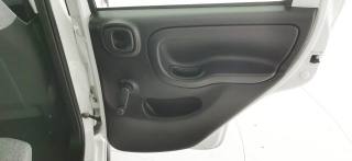 FIAT Panda usata 51