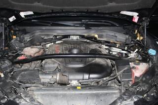 ALFA ROMEO Stelvio usata, con Bracciolo
