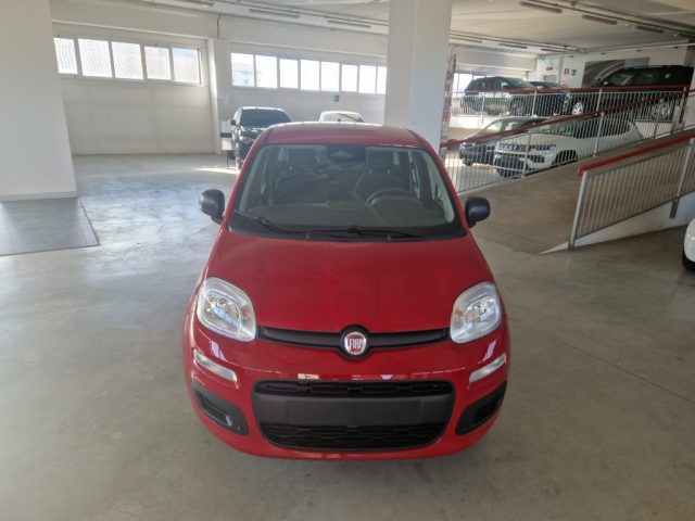 FIAT Panda usata, con ABS