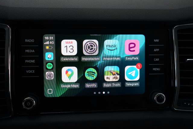 SKODA Kodiaq usata, con Cruise Control