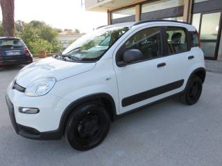 FIAT Panda usata, con Airbag