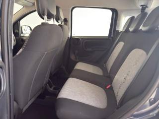 FIAT Panda usata 15