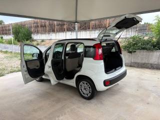 FIAT Panda usata 23