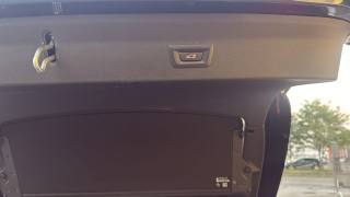 BMW X4 usata, con Bracciolo