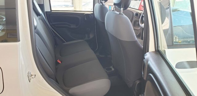 FIAT Panda usata, con Cronologia tagliandi