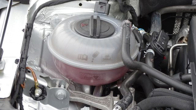 SKODA Octavia usata 142