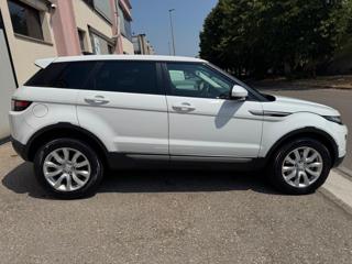 LAND ROVER Range Rover Evoque usata, con Airbag laterali