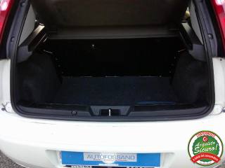 FIAT Punto usata 10