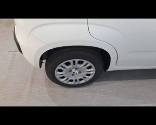 FIAT Panda usata 15