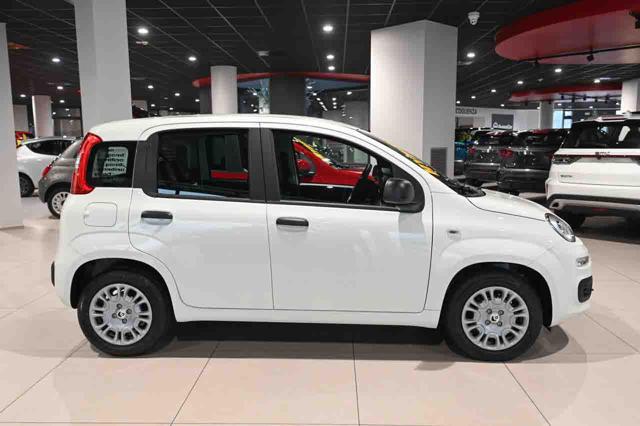 FIAT Panda usata, con USB