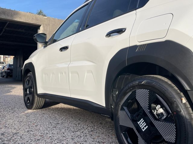 FIAT Grande Panda usata, con Autoradio digitale