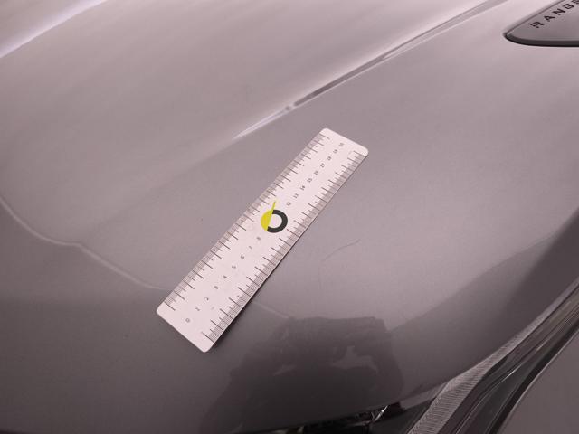 LAND ROVER Range Rover Velar usata 43