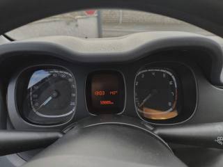 FIAT Panda usata 12