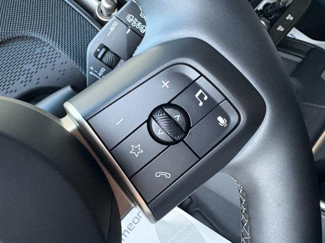 MINI Countryman usata, con Servosterzo