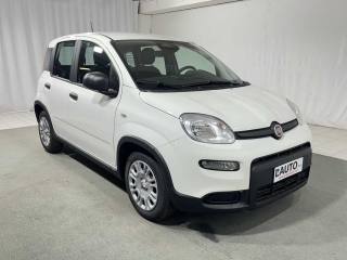 FIAT Panda usata, con Controllo trazione