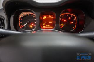 FIAT Panda usata, con Immobilizzatore elettronico