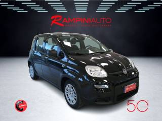 FIAT Panda usata 4