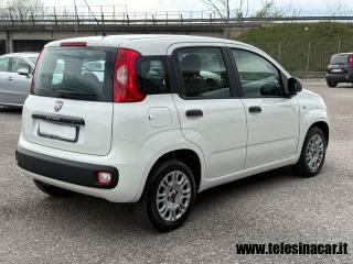 FIAT Panda usata, con ESP