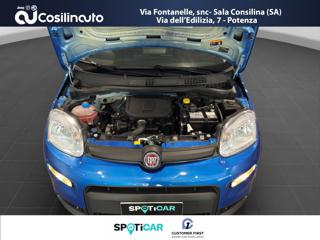 FIAT Panda usata, con USB