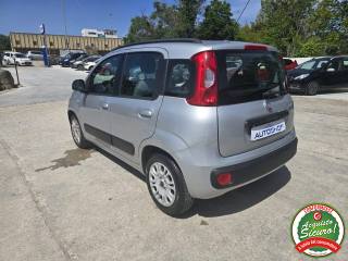 FIAT Panda usata 4
