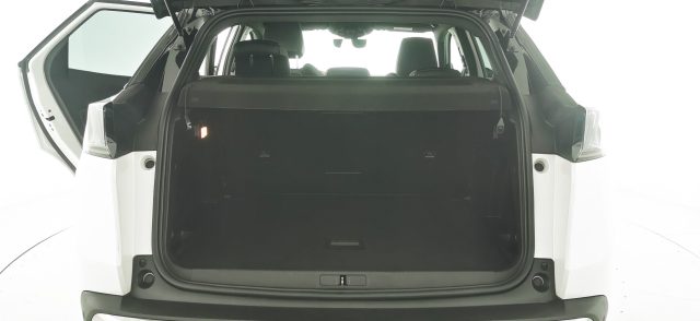 PEUGEOT 3008 usata 79
